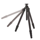 Swarovsi Professional Carbon Tripod- Legs Only- PCT